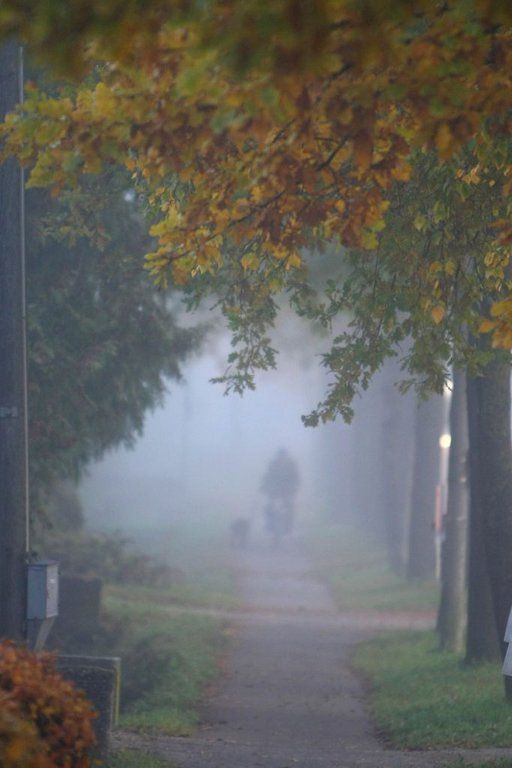 normal_31102011nebelwm2aktivnews_11.JPG