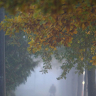 normal_31102011nebelwm2aktivnews_11.JPG