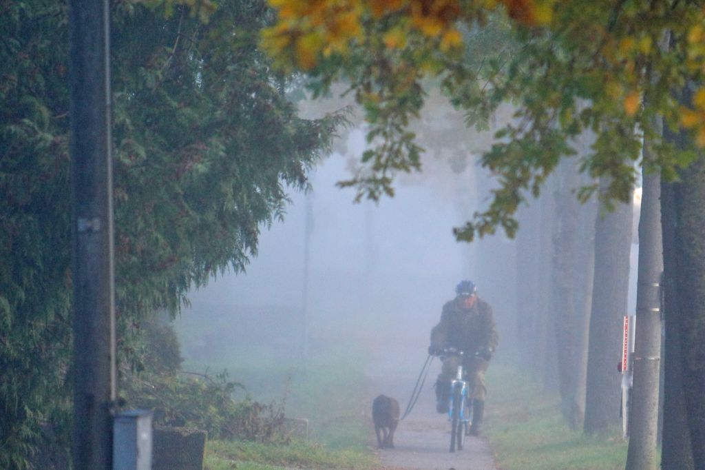 normal_31102011nebelwm2aktivnews_12.JPG