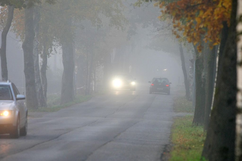 normal_31102011nebelwm2aktivnews_13.JPG