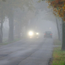 normal_31102011nebelwm2aktivnews_13.JPG