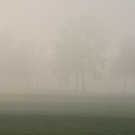 normal_31102011nebelwm2aktivnews_15.JPG