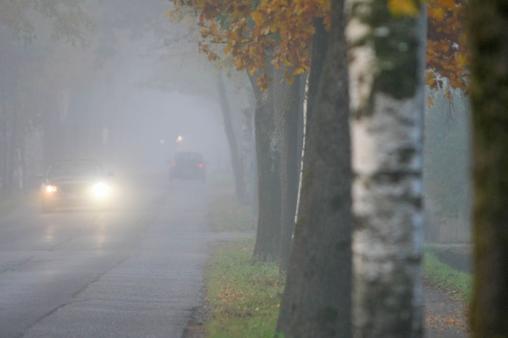 normal_31102011nebelwm2aktivnews_14.JPG