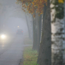 normal_31102011nebelwm2aktivnews_14.JPG
