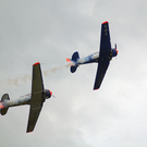 DSC_0461.jpg