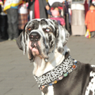 IMG_4546.JPG