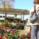 Bilder vom Maxglaner Friedhof
