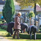 normal_31102011friedhofwm2aktivnews_03.JPG