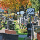normal_31102011friedhofwm2aktivnews_09.JPG