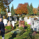 normal_31102011friedhofwm2aktivnews_15.JPG
