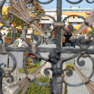 normal_31102011friedhofwm2aktivnews_20.JPG