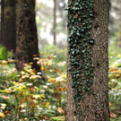 ABD0017-20111027.jpg