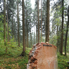 ABD0019-20111027.jpg