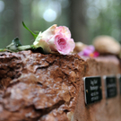 ABD0026-20111027.jpg