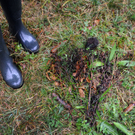 ABD0028-20111027.jpg