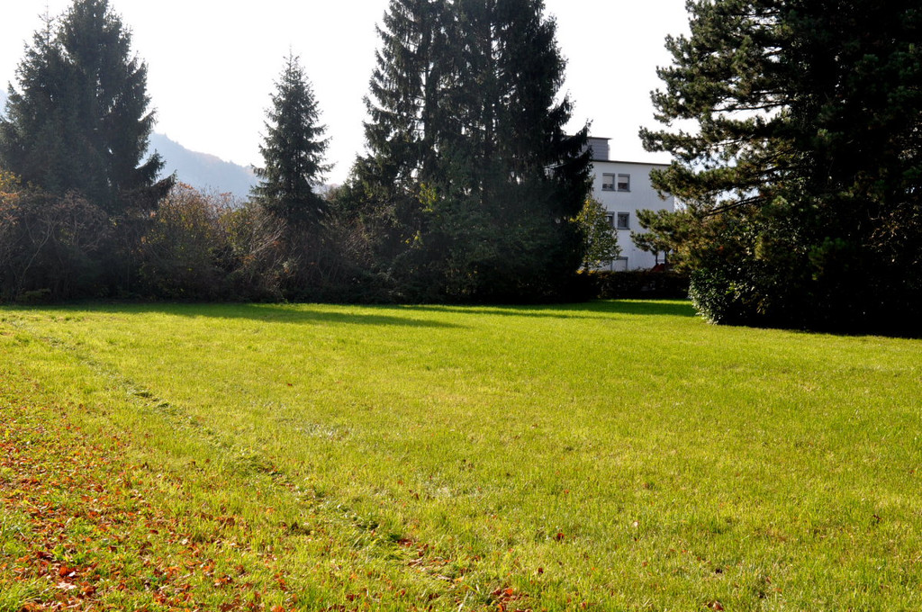 BetreutesWohnen16.JPG