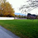 BetreutesWohnen24.JPG