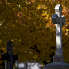 DI10122-20111031.jpg