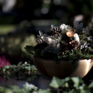 DI20445-20111031.jpg