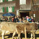 viehausstellung langengg 2_jpg-1320094393