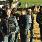 viehausstellung langengg 11_jpg-1320094615