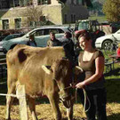 viehausstellung langengg 13_jpg-1320094825