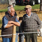 viehausstellung langengg 54_jpg-1320096186
