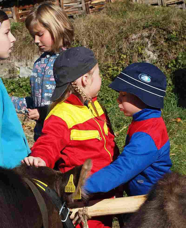 viehausstellung langengg 56_jpg-1320096250