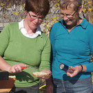 viehausstellung langengg 70_jpg-1320096684