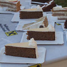 viehausstellung langengg 71_jpg-1320096708