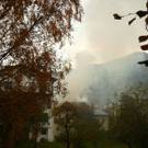 normal_31102011brandzelldmaktivnews _10_.jpg