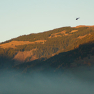 normal_31102011brandzelldmaktivnews _2_.jpg