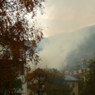 normal_31102011brandzelldmaktivnews _9_.jpg