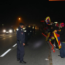 normal_31102011fmt_tibetfuschl_ta_016.JPG