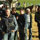viehausstellung langengg 11_jpg-1320132761