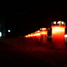 normal_31102011fmt_tibetfuschl_ta_025.JPG