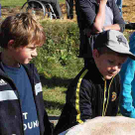 viehausstellung langengg 25_jpg-1320132779