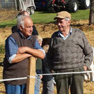 viehausstellung langengg 54_jpg-1320132825
