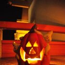 normal_31102011halloweenmbaktivnews009.JPG