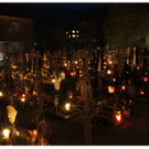 DSC02667.JPG