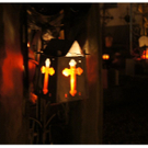 DSC02690.JPG