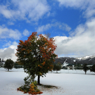 Kochel am See Bilder 8_-9_10_2011 156_JPG-1320182055