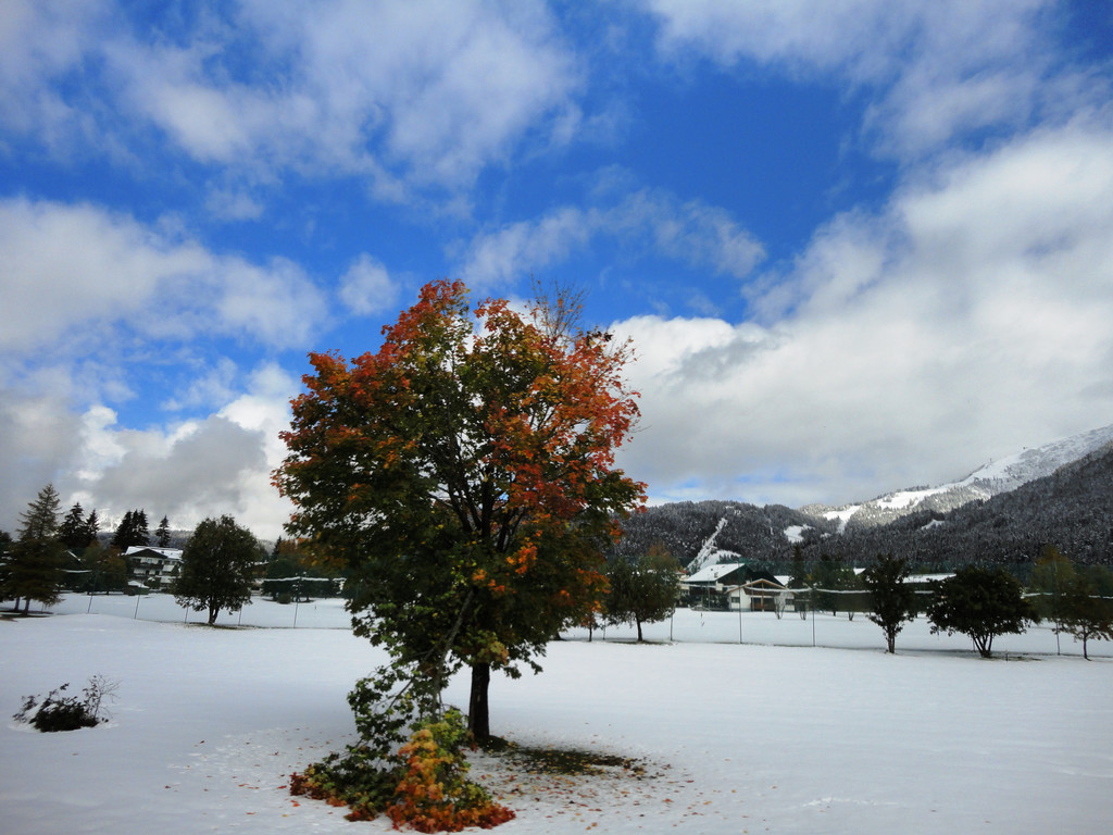 Kochel am See Bilder 8_-9_10_2011 156_JPG-1320182055