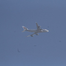 normal_02112011huabflugffaktivnews_116.jpg