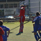 DSC_8162_jpg-1320240485