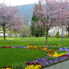 101_5907_jpg-1320271517