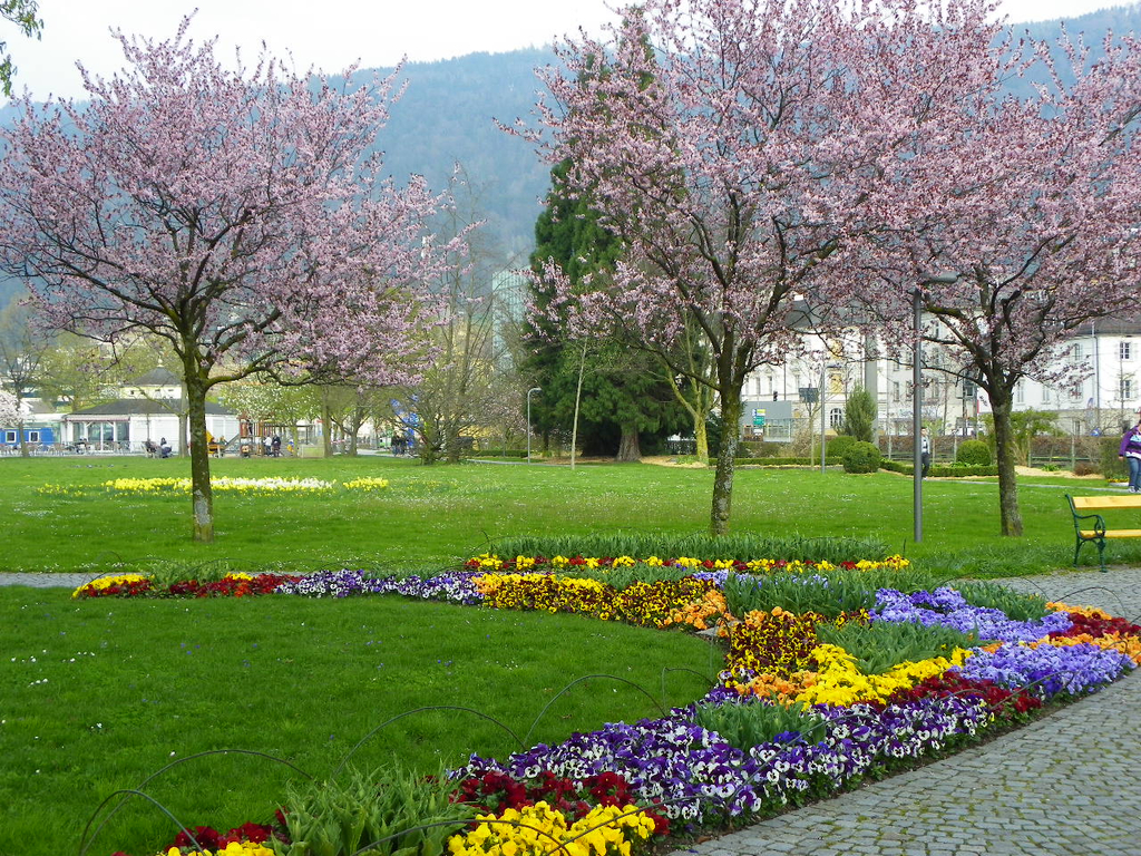 101_5907_jpg-1320271517