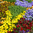 101_5908_jpg-1320271523