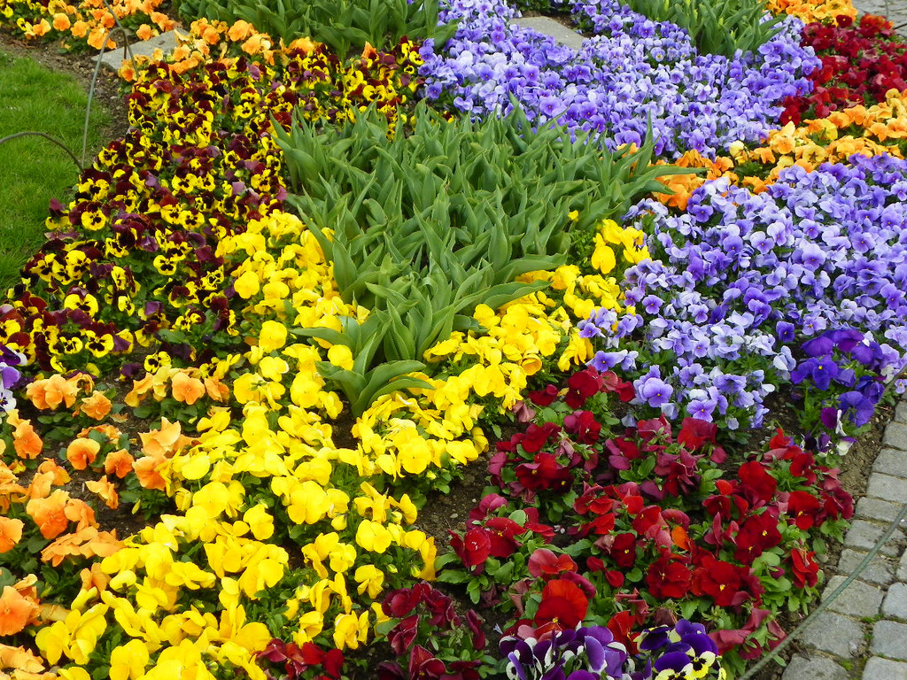 101_5908_jpg-1320271523