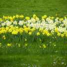 101_5914_jpg-1320271536